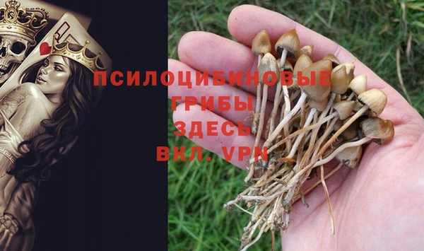шишки Надым