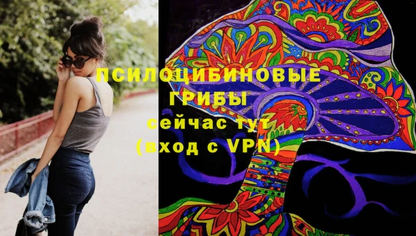 мдпв Белокуриха