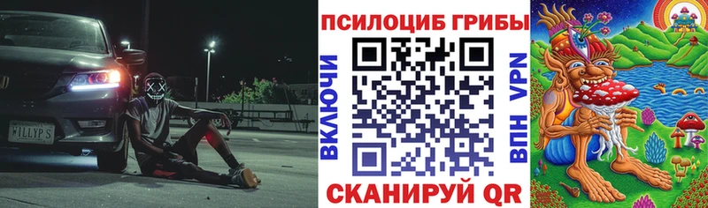 хочу наркоту  Сковородино  Псилоцибиновые грибы Psilocybe 